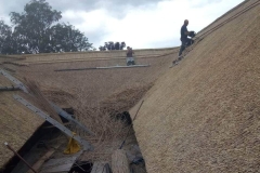 336325700_255251610172960_8873330416140140123_n-1