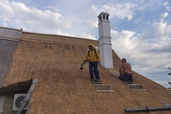 356855905_276060235023938_6795180150998907726_n