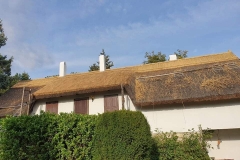 356855906_1272654926971631_6195821754806053253_n