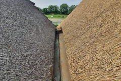 356859639_1345776693034802_1365070004518097986_n