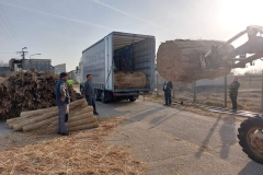 356862019_1318110549082500_3604115836615381778_n