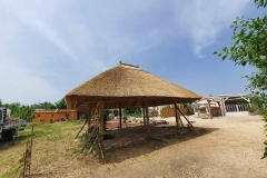 356865623_960463608594444_6061709415427662763_n