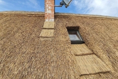 356865625_996596604815619_908316943105669689_n