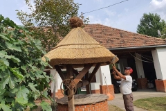 356880668_1244584959590333_3650318544370449543_n