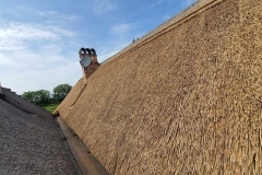 356881599_1716715645462218_229034424991900801_n