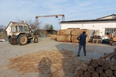 356881604_1330553004205781_7477885430128088471_n