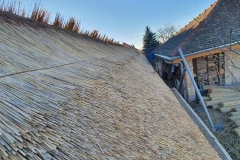 356882003_817846216672589_3209404719078668430_n