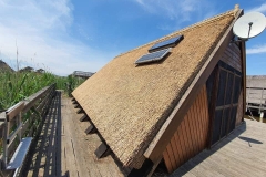 356889871_756707746248750_6997032617010815696_n