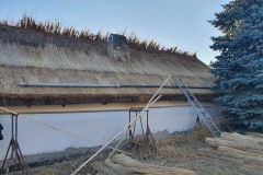 356894670_206793342359992_8140718615167823642_n