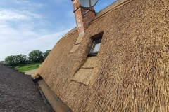 356894674_934520550957226_3408908317792622268_n