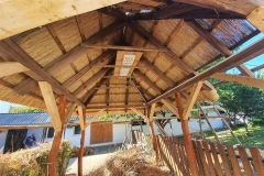 356902084_1336911296944454_1650968124121613921_n