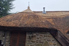 356911816_856889456069369_3730668154634838407_n