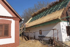 356912884_1450837939016491_3029408896558296312_n