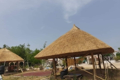 356914209_812392703874003_1712249820459422445_n