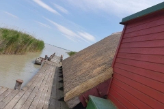 356916626_215598067715260_1454599602259375700_n