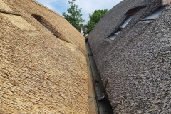 356923798_590823276547519_2579966511847071643_n