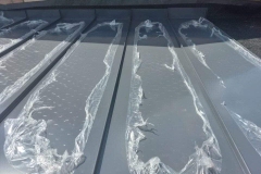 356926877_663298365850864_8139409748665773657_n