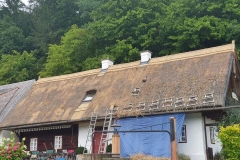 356928653_660711732576785_4321526111388971208_n