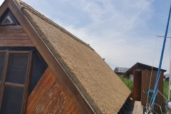 356933287_808870637354907_3804202288087772167_n