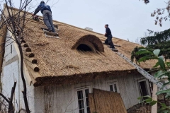 356933343_3203621809935899_5277518000524795344_n