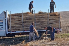 356935476_3462045780704312_298246806036821672_n