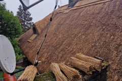 356937620_688237273138048_1731255189968261789_n