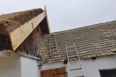 356937654_813027817002334_4548279516224487162_n