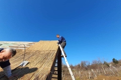 356937657_330137882669786_7239177323036861769_n