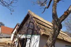 356939407_6613612198678107_2180401048288672544_n