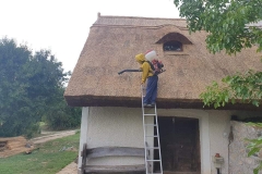 356940439_3169546826672447_8435123460375301485_n