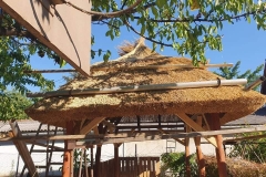 356940786_3500360166959793_5003229910699892582_n