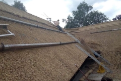 356942875_1293175207971302_234430695295695105_n