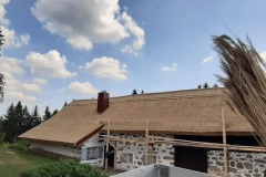 356944335_810187680544497_3721072969516254279_n