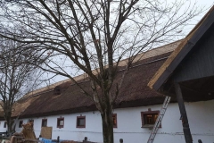 356946013_2277541745967440_8759070187060623936_n