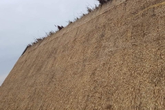 356948206_249837774511273_5742705726123470557_n