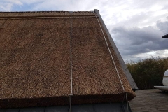 356951913_1759687761127712_4742573308919517366_n