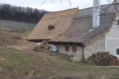 356953940_669452997948992_2989095480505759742_n