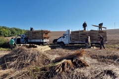 356956910_574403484659427_8510160106464912283_n