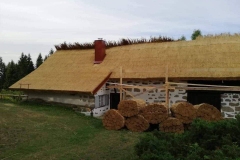 356958642_768812104994750_6333900963025640016_n