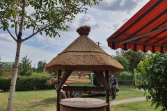 356960231_290759736957403_8694085228682793849_n