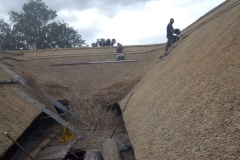 356969888_1004874507528641_1990499820399087463_n